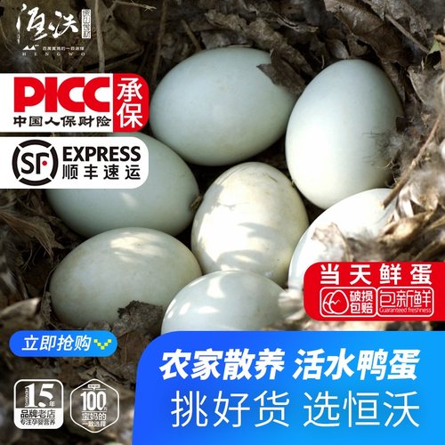 恒沃正宗土鸭蛋新鲜个大农家散养