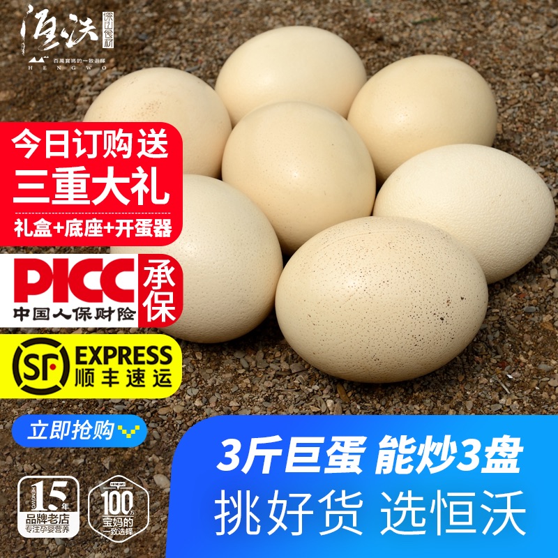 特大新鲜鸵鸟蛋营养高节日送礼品