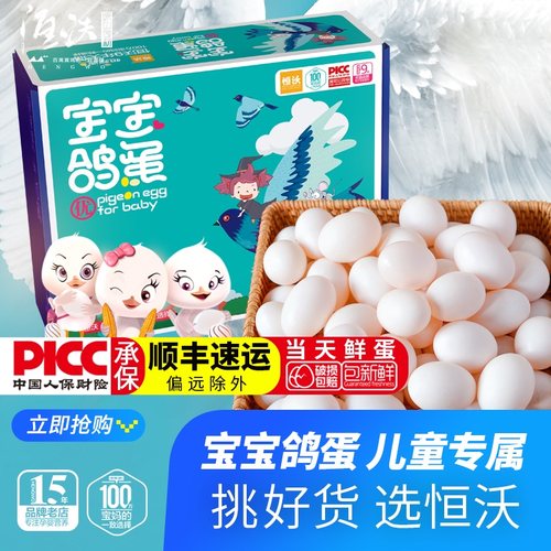 现货鸽蛋恒蜂源新鲜美味