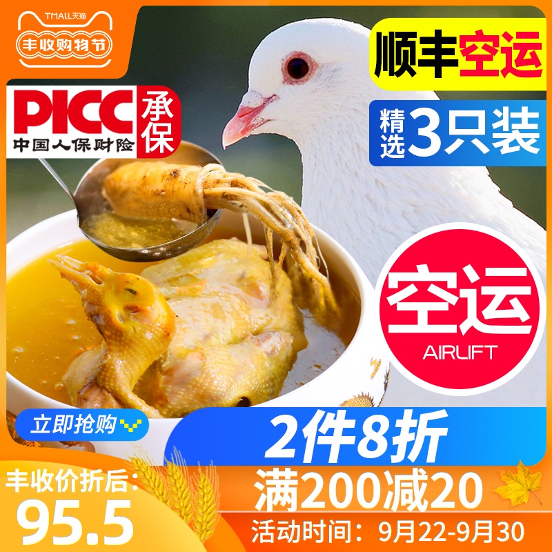 3只新鲜土鸽子顺丰空运活体现杀大鸽子肉烤乳鸽农家散养鸽子生鲜