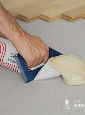 R848T 改性硅烷安装胶泥 R820 开放时间长 德国bona原装进口