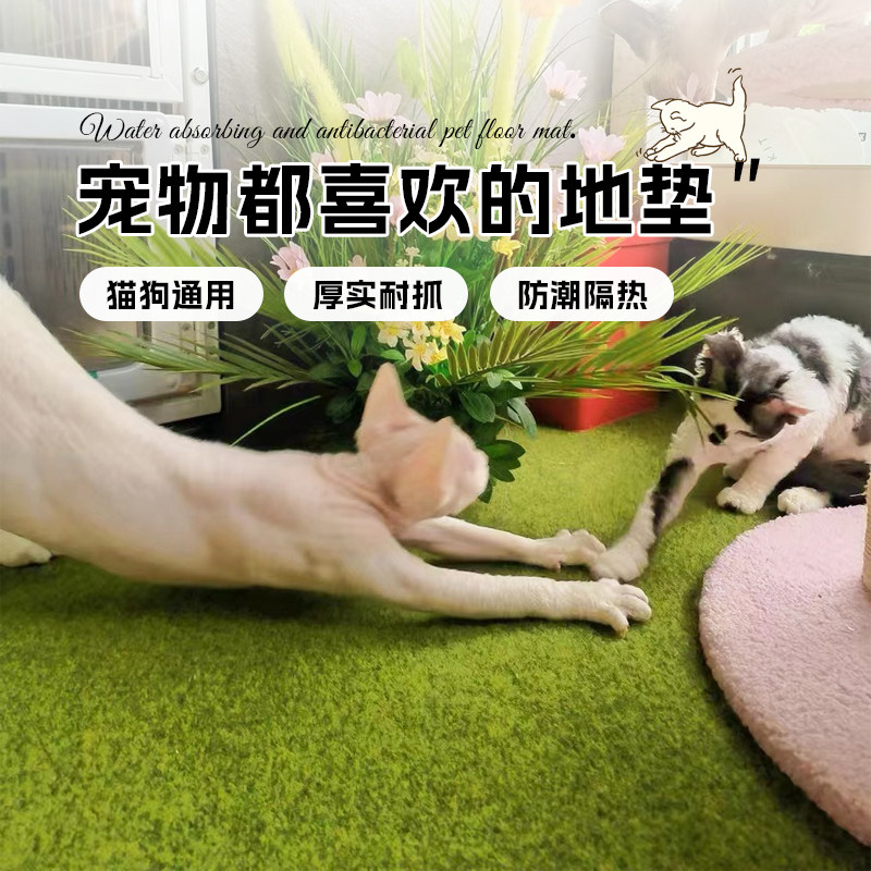 宠物专用地毯定制家用防水放尿地垫防抓耐磨隔音垫子加厚免洗耐脏