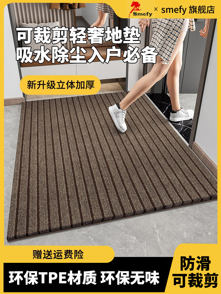 入户门地垫大门口地毯脚垫高级感门垫进门家用耐脏网红吸水除尘垫