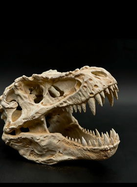 霸王龙头骨化石3d打印ins爬宠沙漠陆缸场景道具摆件家居氛围道具