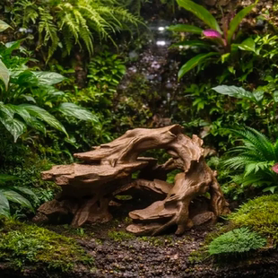 热带沉木洞穴微缩场景生态缸水族造景装 饰3d打印半陆缸微景观摆件
