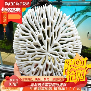 珊瑚型镂空鹿角蕨挂板定植板透气上板石斛附生兰防腐3D打印种植板