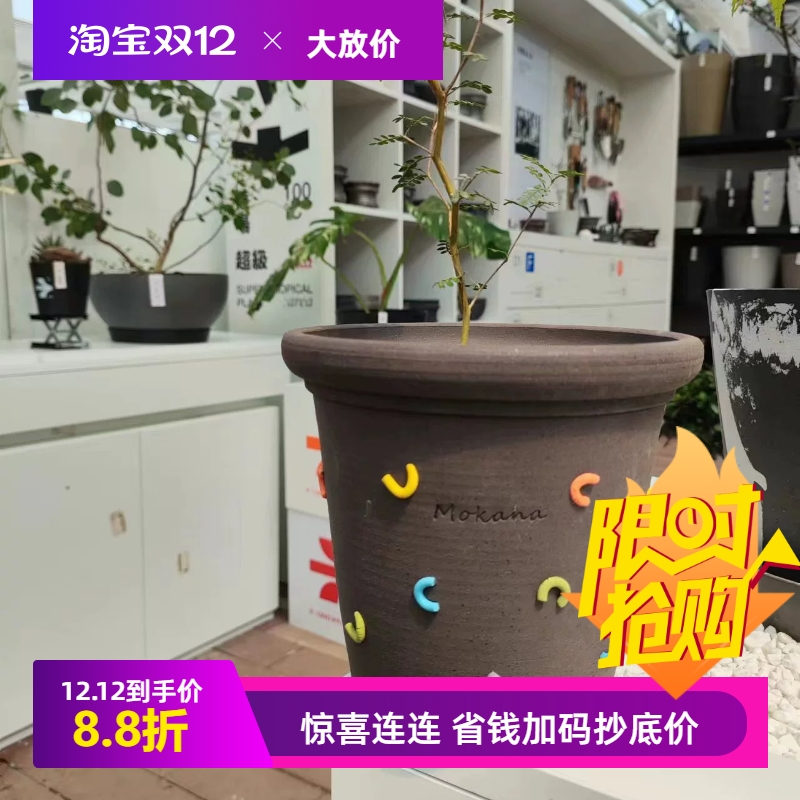 摩卡森林甜甜圈10*9小清新桌面网红陶盆花器块根仙人球热植花盆