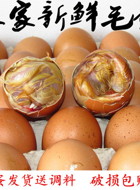 农家当天新鲜毛鸡蛋18-21天全鸡毛蛋生的鸡胚蛋旺鸡蛋喜蛋非活珠