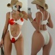 2026新款 性感泳衣度假涤纶印花两件套比基尼沙滩游泳衣女 欧美时尚