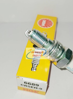 NGK火花塞CR5EH-9适用本田RTL260F BF6CH BF8B1D1D2D3 20匹船外机