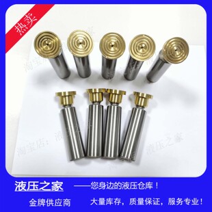 Sauer-danfoss萨奥丹佛斯柱塞泵液压油泵配件PV23/SPV2/089 柱塞