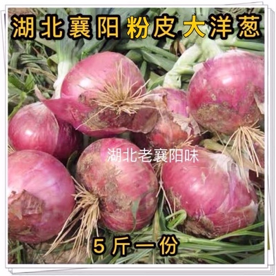 皮薄肉厚生吃粉皮洋葱新鲜包邮