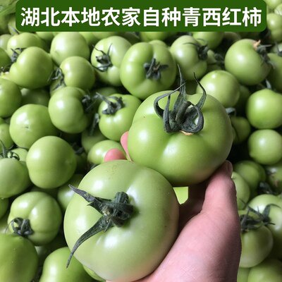 襄阳青番茄新鲜青西红柿新鲜蔬菜现摘现发农家自种