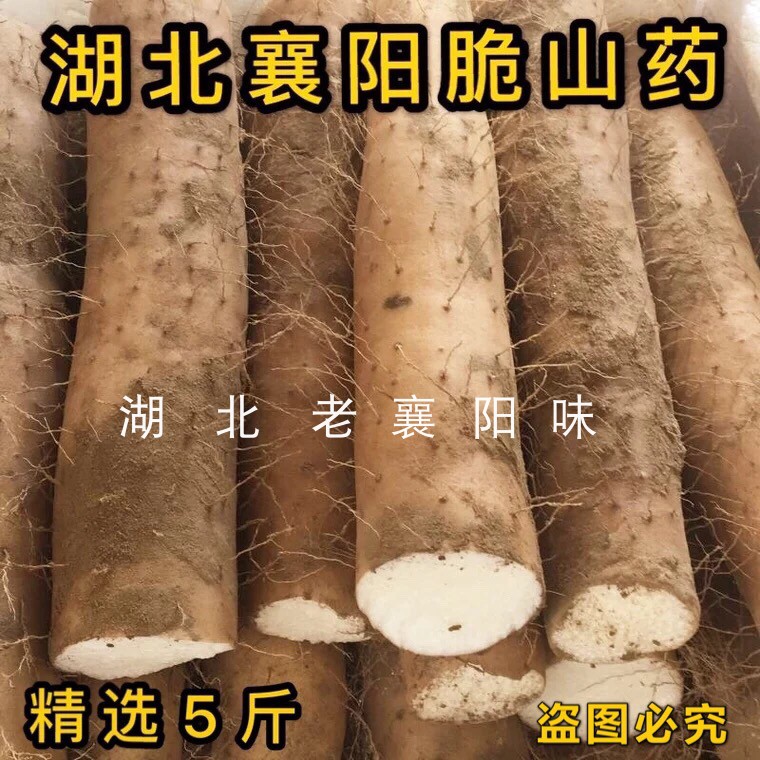 脆山药新鲜襄阳清炒脆山药新鲜菜山药新鲜淮山药粗大山药新鲜