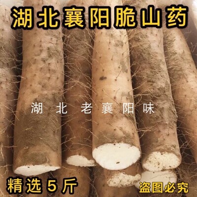 现挖清炒脆山药新鲜粗大山