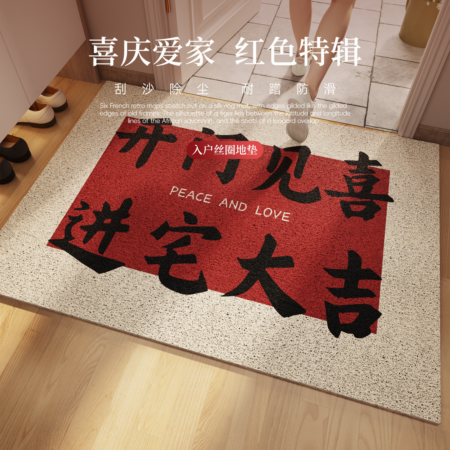地垫入户门垫脚垫玄关垫子