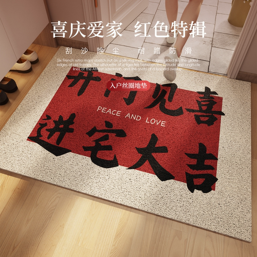 地垫入户门垫脚垫玄关垫子