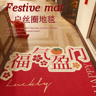 入户门丝圈地垫门口免洗红色喜庆防滑脚垫进门玄关可裁剪定制地毯