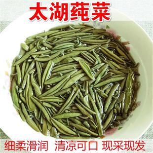 苏州太湖莼菜野菜非西湖莼菜马蹄菜利川东山新鲜纯菜320g袋装