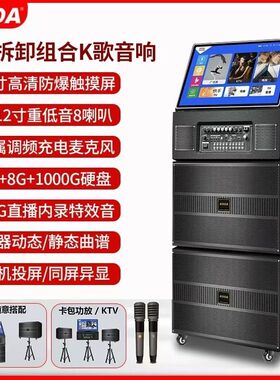 科达KODA高端户外演出广场舞可拆分家用大功率声卡蓝牙直播音响