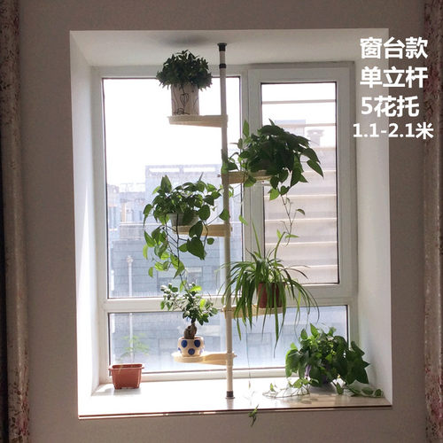 铁艺多层窗台吊兰绿萝悬挂式花架