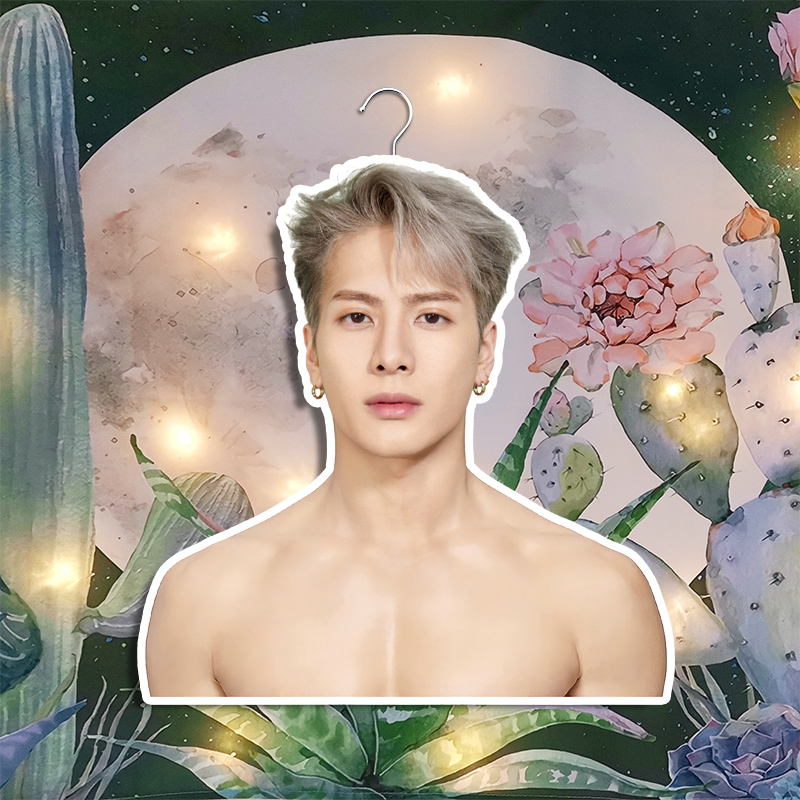 明星衣架人形王嘉尔周边头像