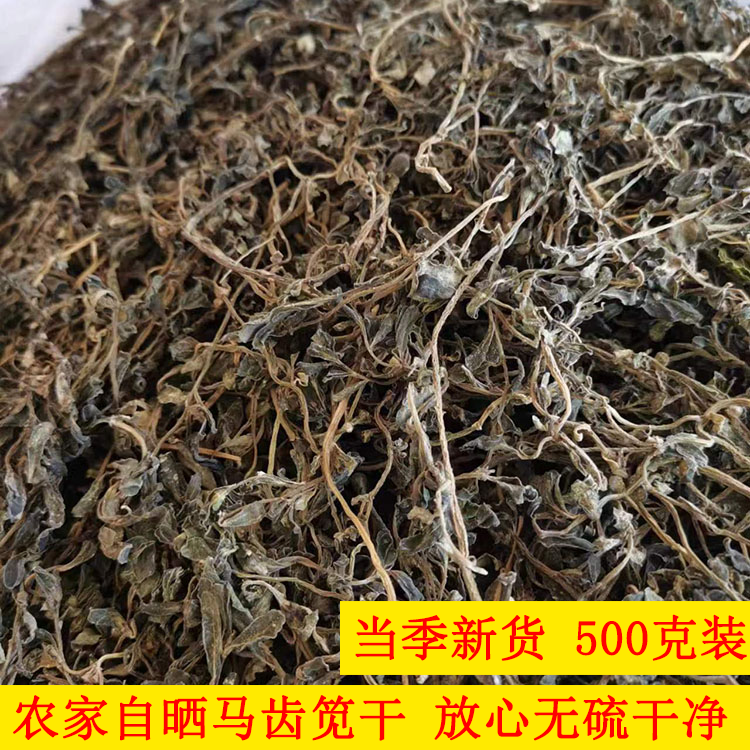 23年当季新鲜晒干马齿笕农家马蜂菜干马齿笕干菜可食用包包子做
