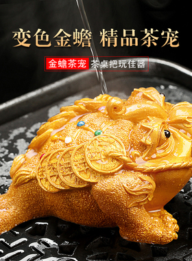 变色茶宠摆件金蟾蟾蜍可养宠物茶台茶桌茶盘茶玩精品茶道茶具配件