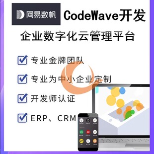 CodeWave网易CodeWave智能开发平台CodeWave定制数帆CodeWave开发