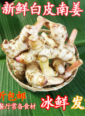 泰国餐厅常用食材正宗泰料新鲜