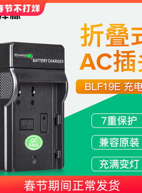 沣标DMW-BLF19E电池充电器适用于松下GH4 GH5 DMC-GH3 BLF19GK GH3相机座充 双充 数码配件
