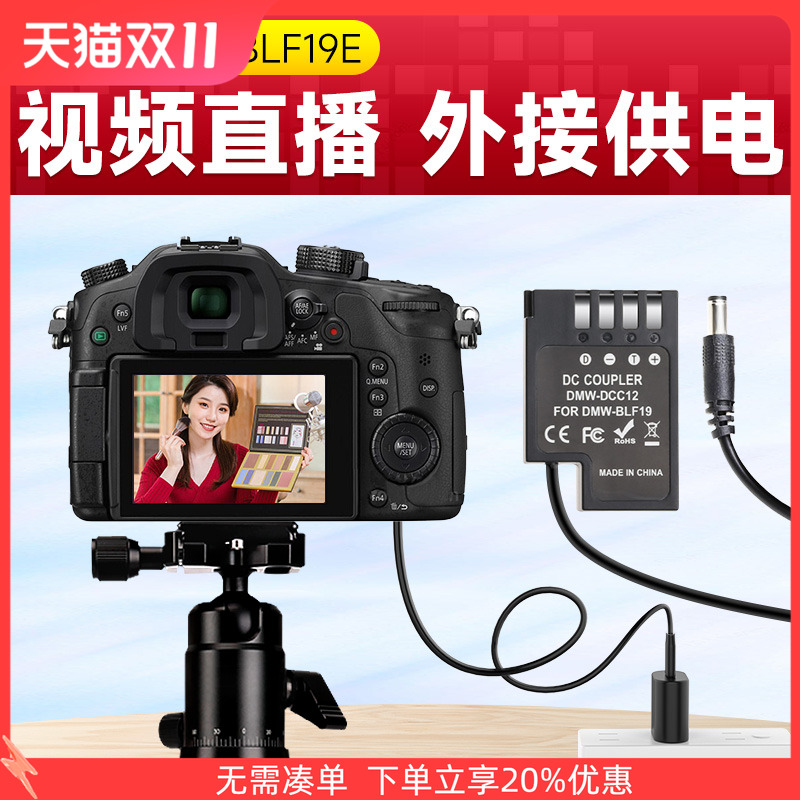 DMW-BLF19E模拟电池+电源适配器套装