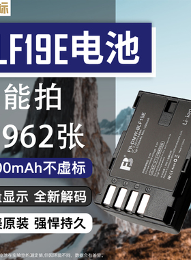 沣标DMW-BLF19E相机电池适用松下DMC-GH4 GH5 GH3 GH5S单反DC-G9LGK微单PDZ-BLF19E适马SDQ座充电器套装BP-61