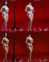 现货 TBLeague PLLB2020-S38A/S39A 1比6 包胶 PH 丰腴型女素体