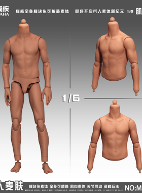 现货 模核 1/6 可动男素体肌肉版 兵人偶 美术绘画素描人体用模型