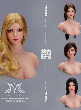 接单 YMTOYS 1/6  混血女头雕 鹊 YMT085 适合PH女兵人包胶女素体