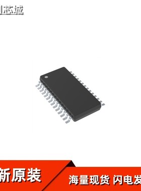ADS901E SSOP-28-208mil 全新 原装