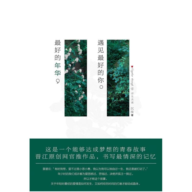 二手最好的年华,遇见最好的你 沉埃 金城出版社