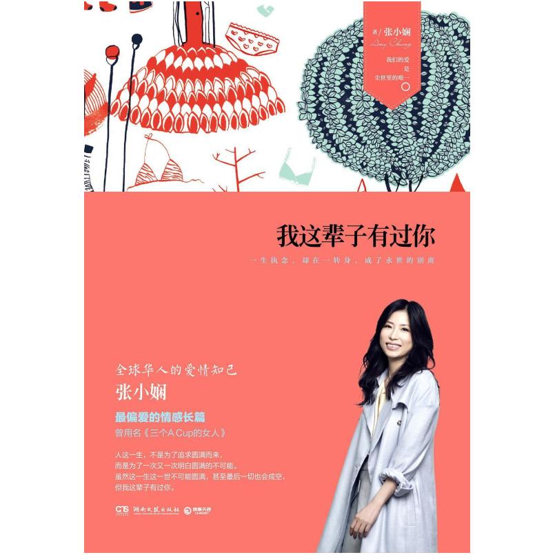 二手我这辈子有过你 张小娴 湖南文艺出版社