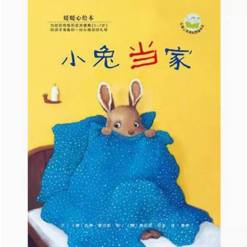 二手小兔当家 雷切斯 湖南少年儿童出版社