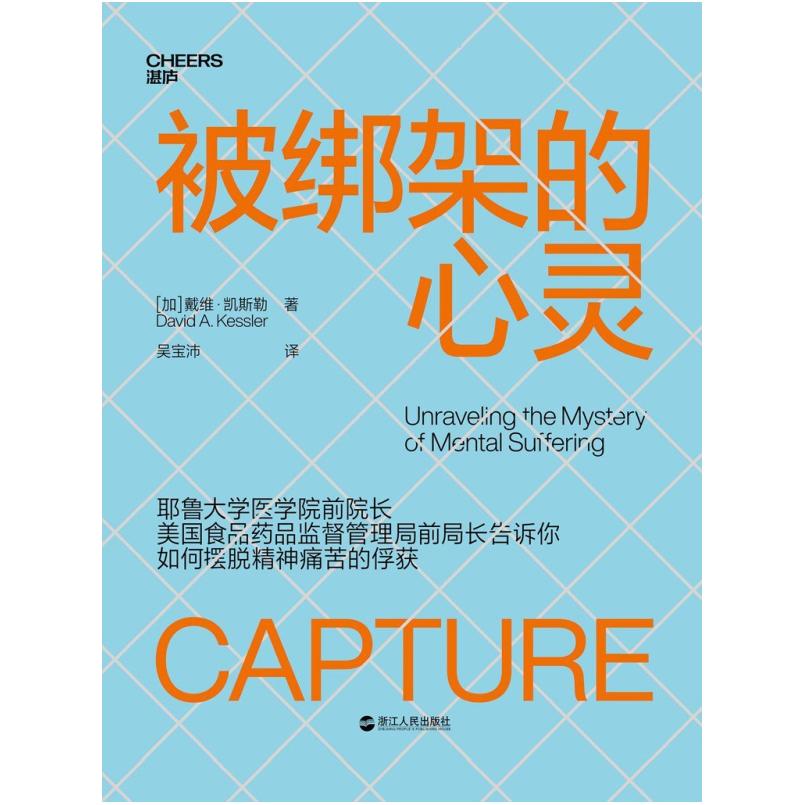 二手被绑架的心灵 [加]戴维·凯斯勒 浙江人民出版社