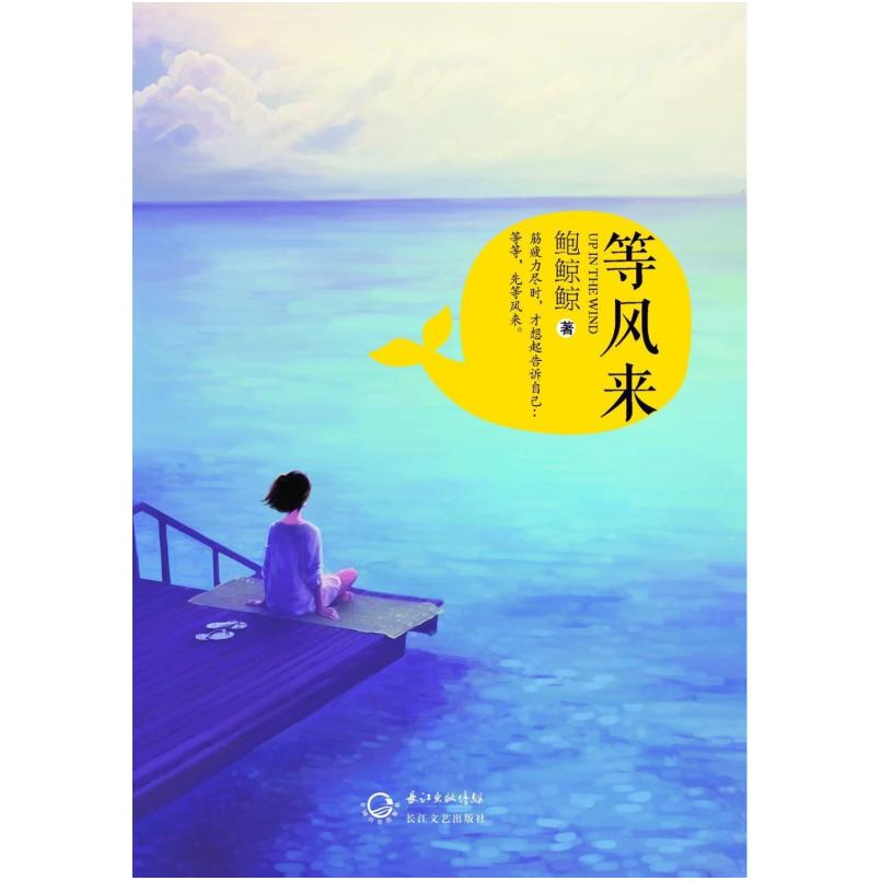 二手等风来 鲍鲸鲸 长江文艺出版社
