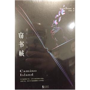 二手窃书贼:消失的“盖茨比” 约翰格里森姆 长江出版社