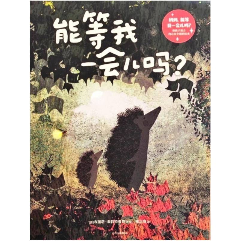 二手帮孩子建立内心安全感的绘本 [德]布丽塔 泰肯特鲁普 中信出