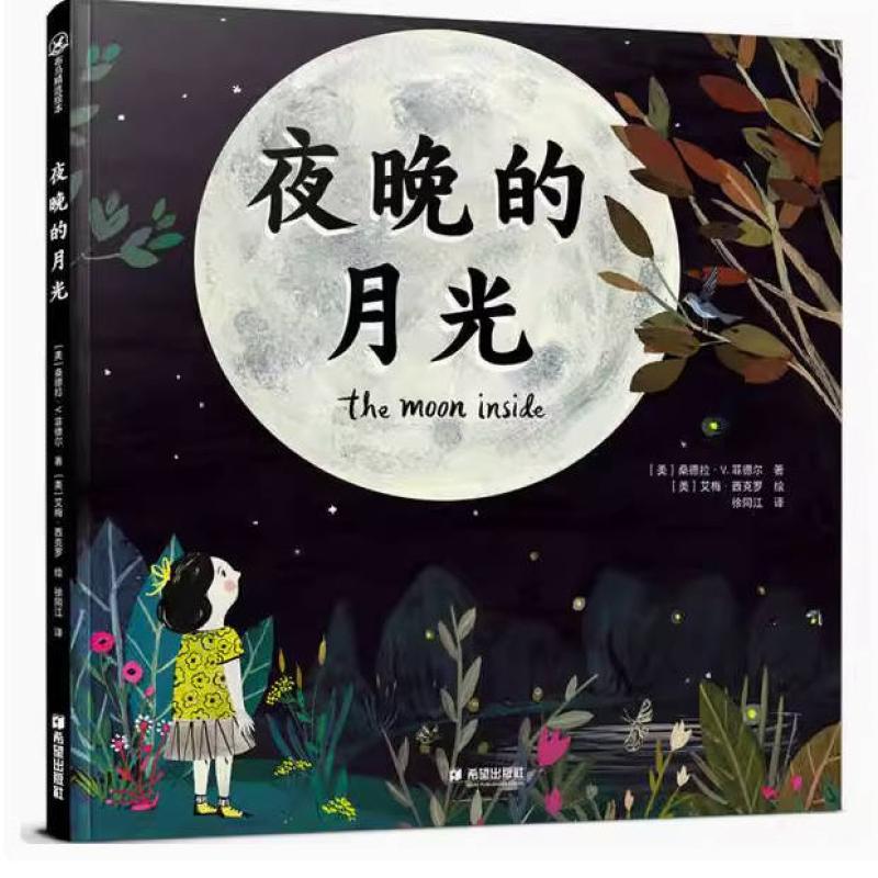 二手夜晚的月光 桑德拉·V.菲德尔 希望出版社
