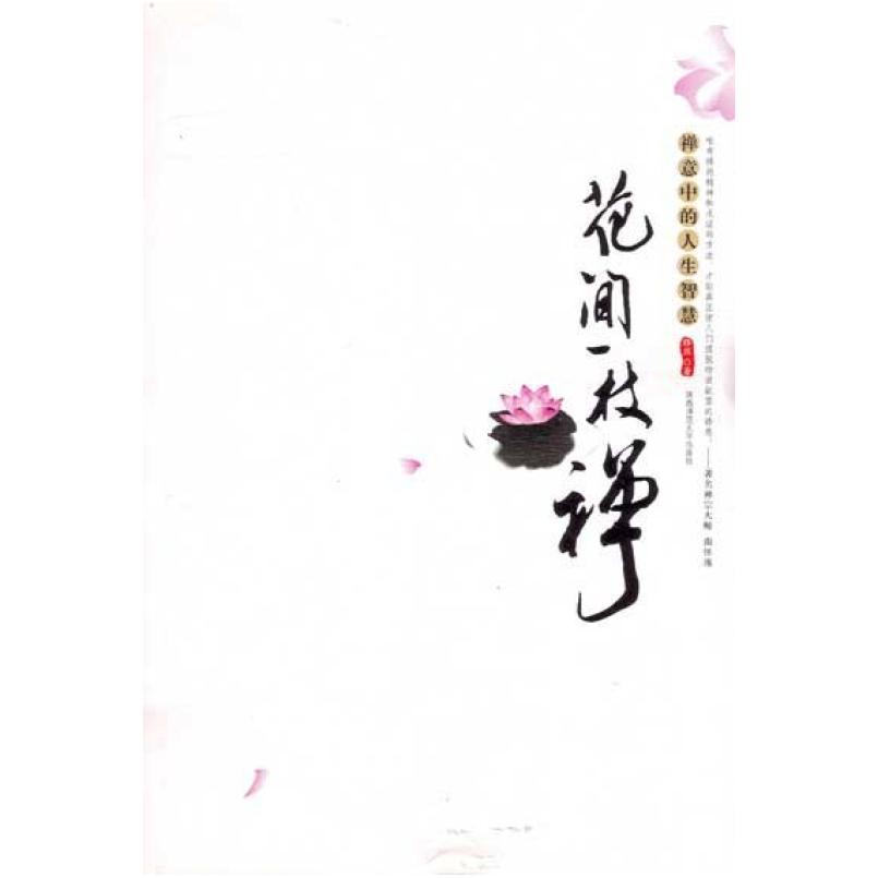 二手花间一枝禅 释然 陕西师范大学出版社