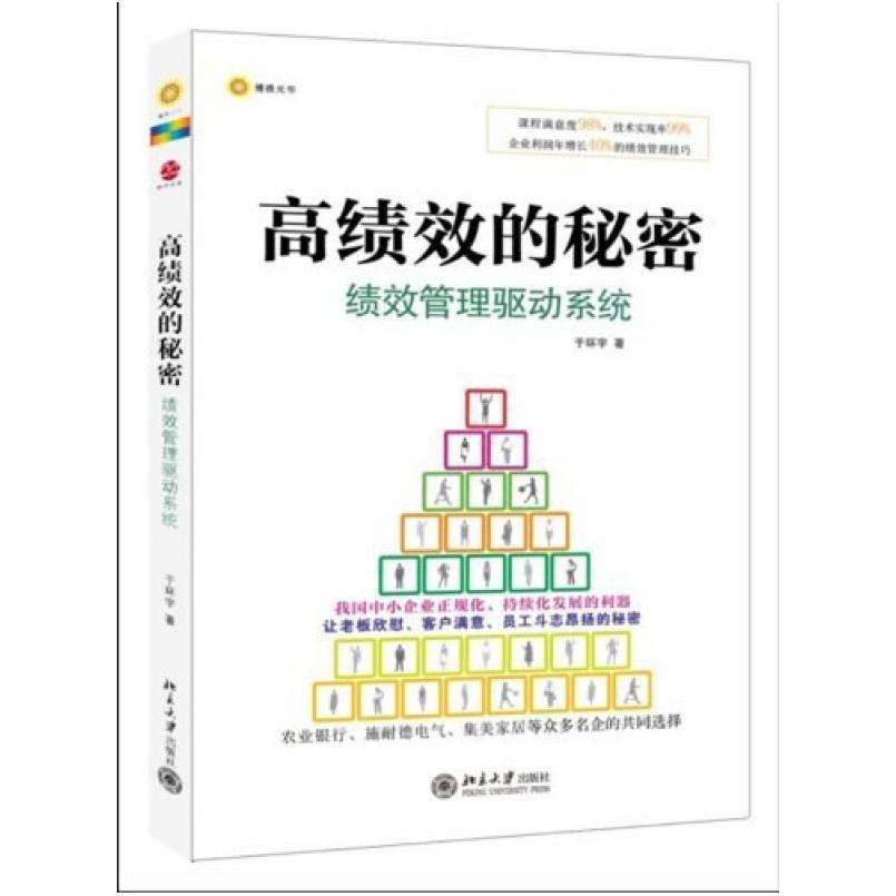 二手高绩效的秘密 于环宇 北京大学出版社