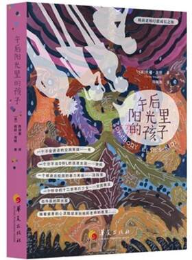 二手午后阳光里的孩子 桃莉·海顿 华夏出版社