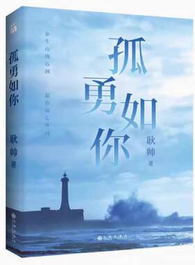 二手孤勇如你 耿帅 九州出版社