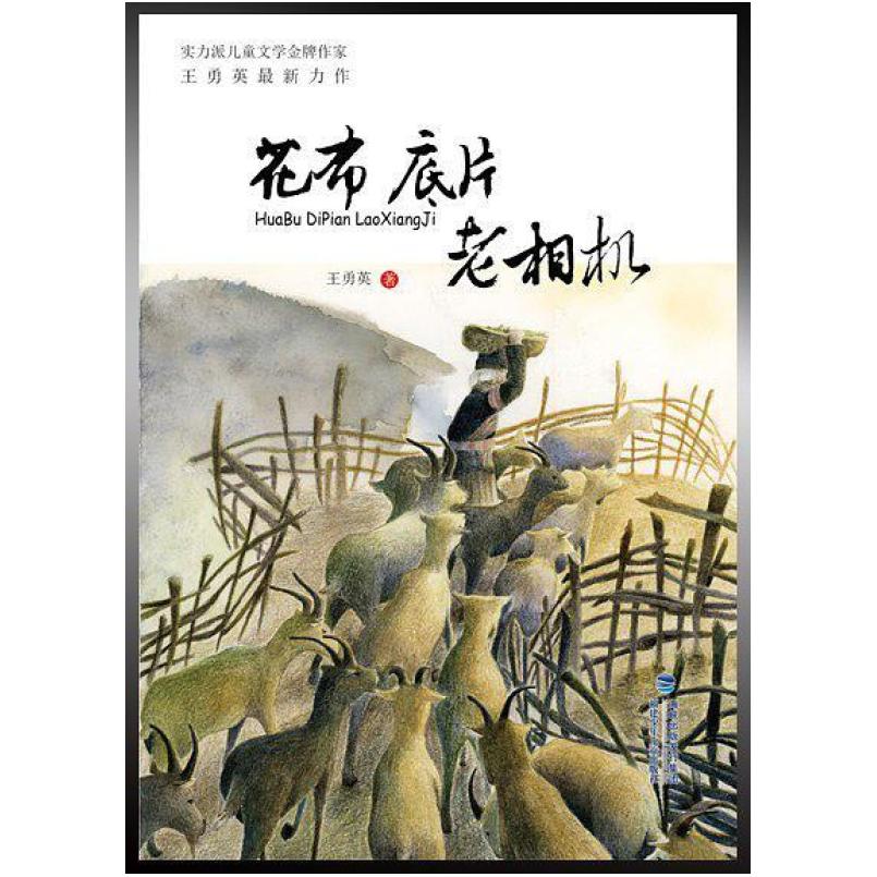 二手花布底片老相机 王勇英 福建少年儿童出版社